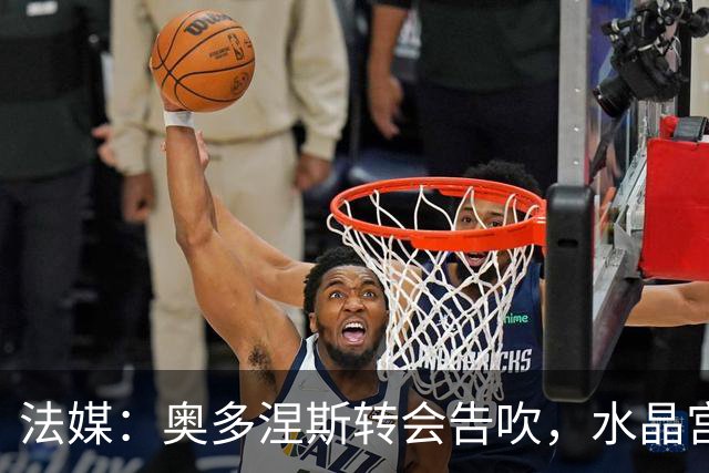 法媒：奥多涅斯转会告吹，水晶宫转攻乌迪内斯中卫索莱